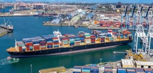 国际海运电放操作全流程详解与核心风险规避指南